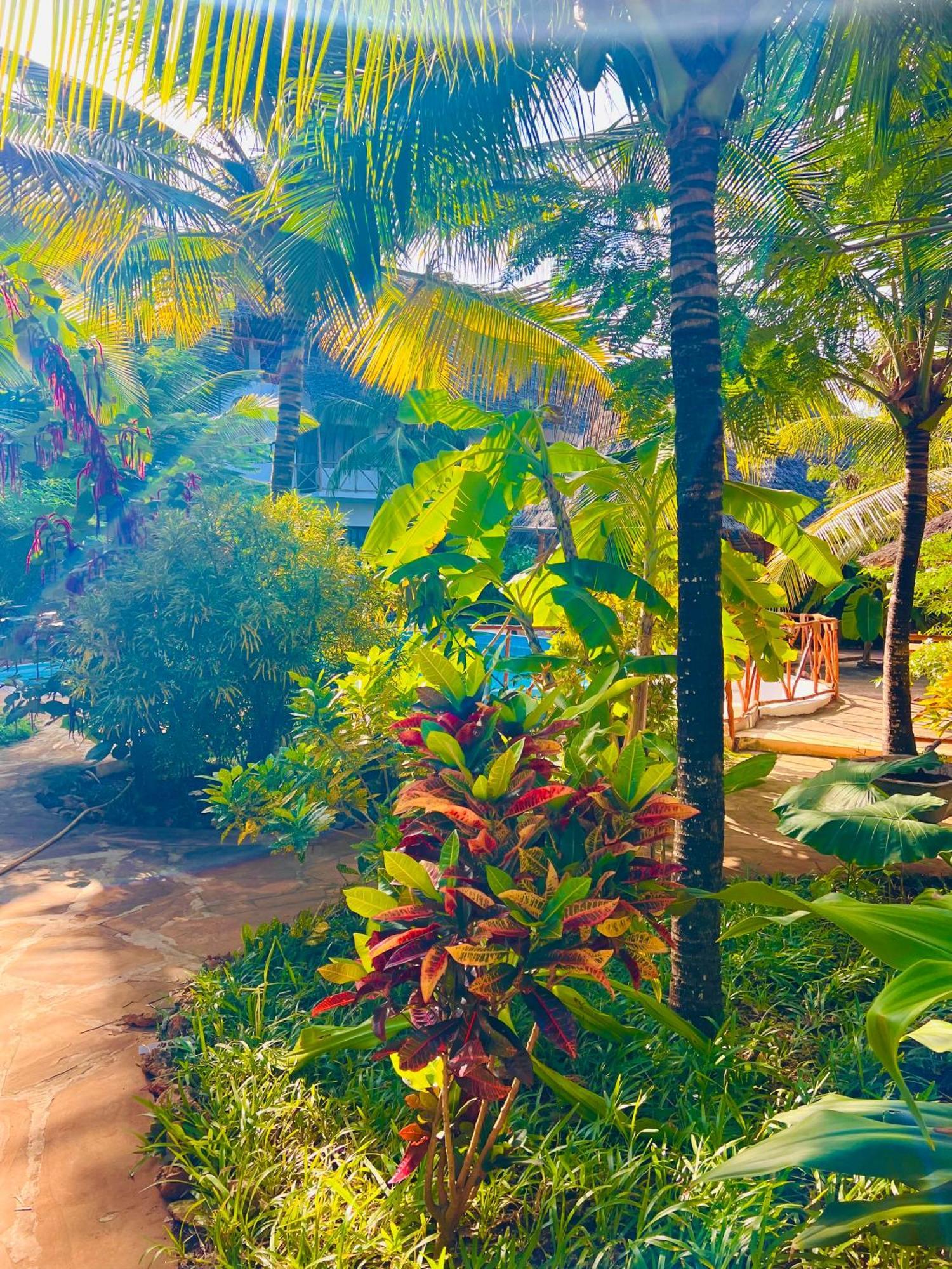 Tropical Nungwi 호텔 외부 사진