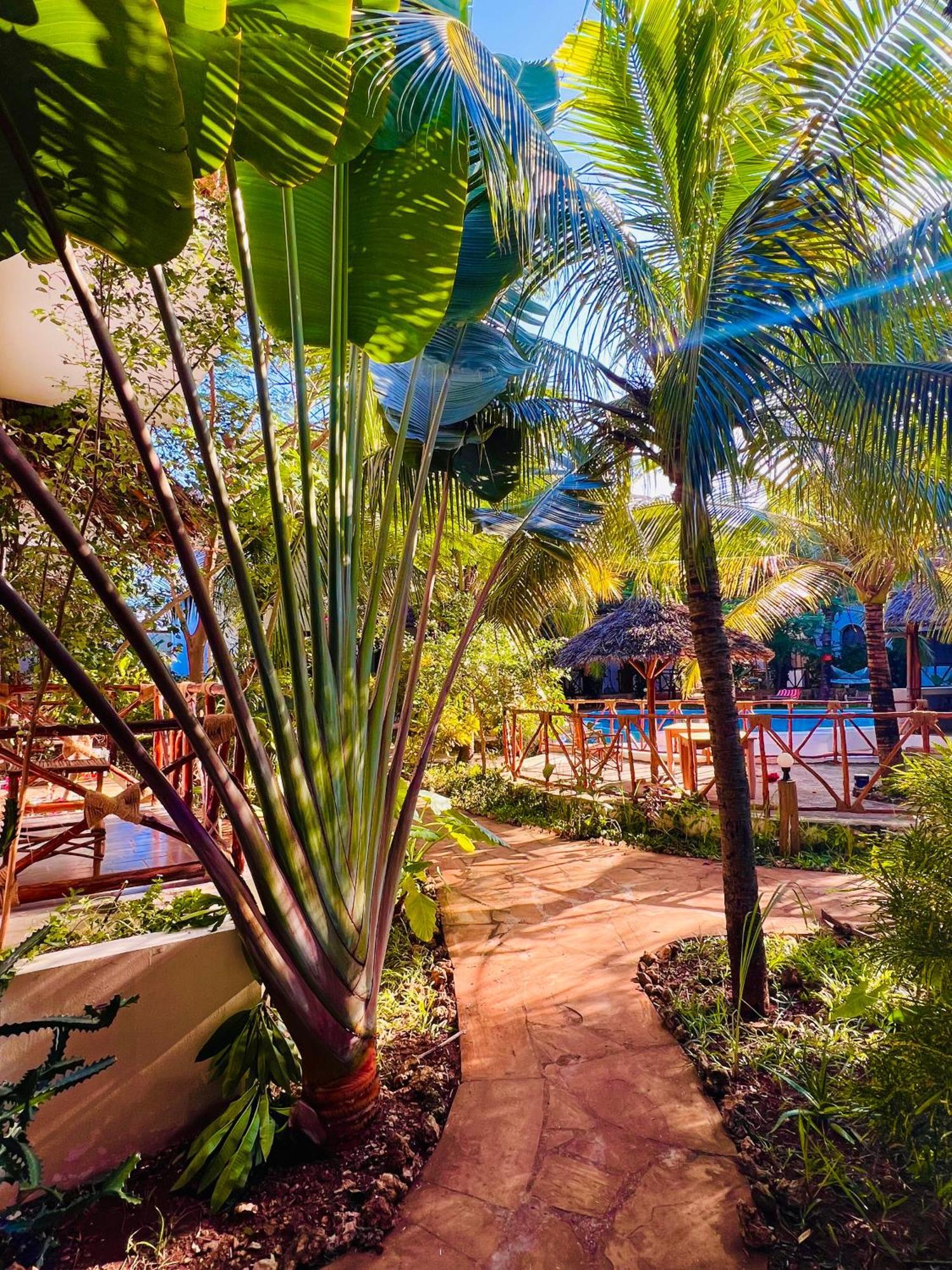 Tropical Nungwi 호텔 외부 사진
