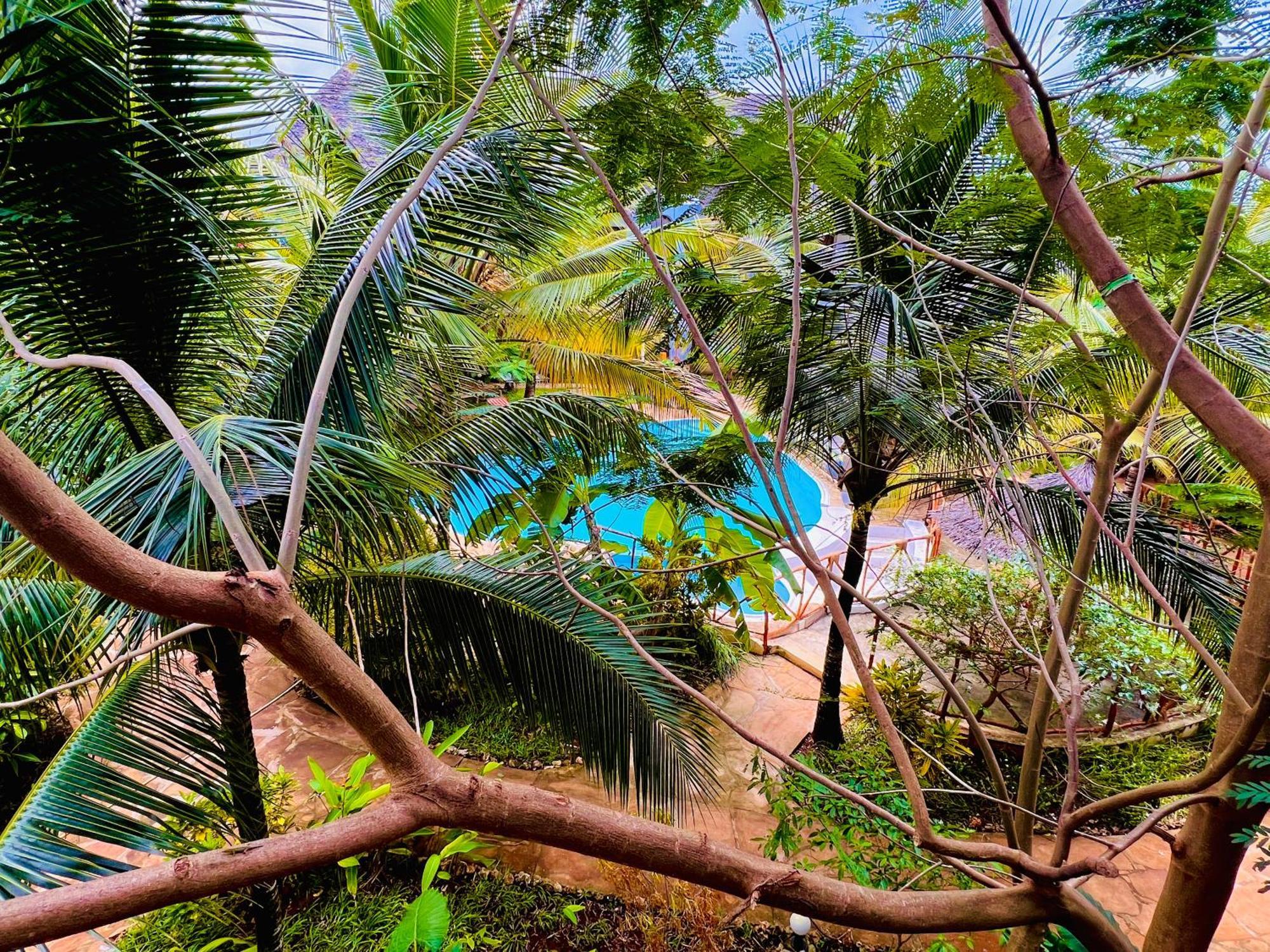 Tropical Nungwi 호텔 외부 사진