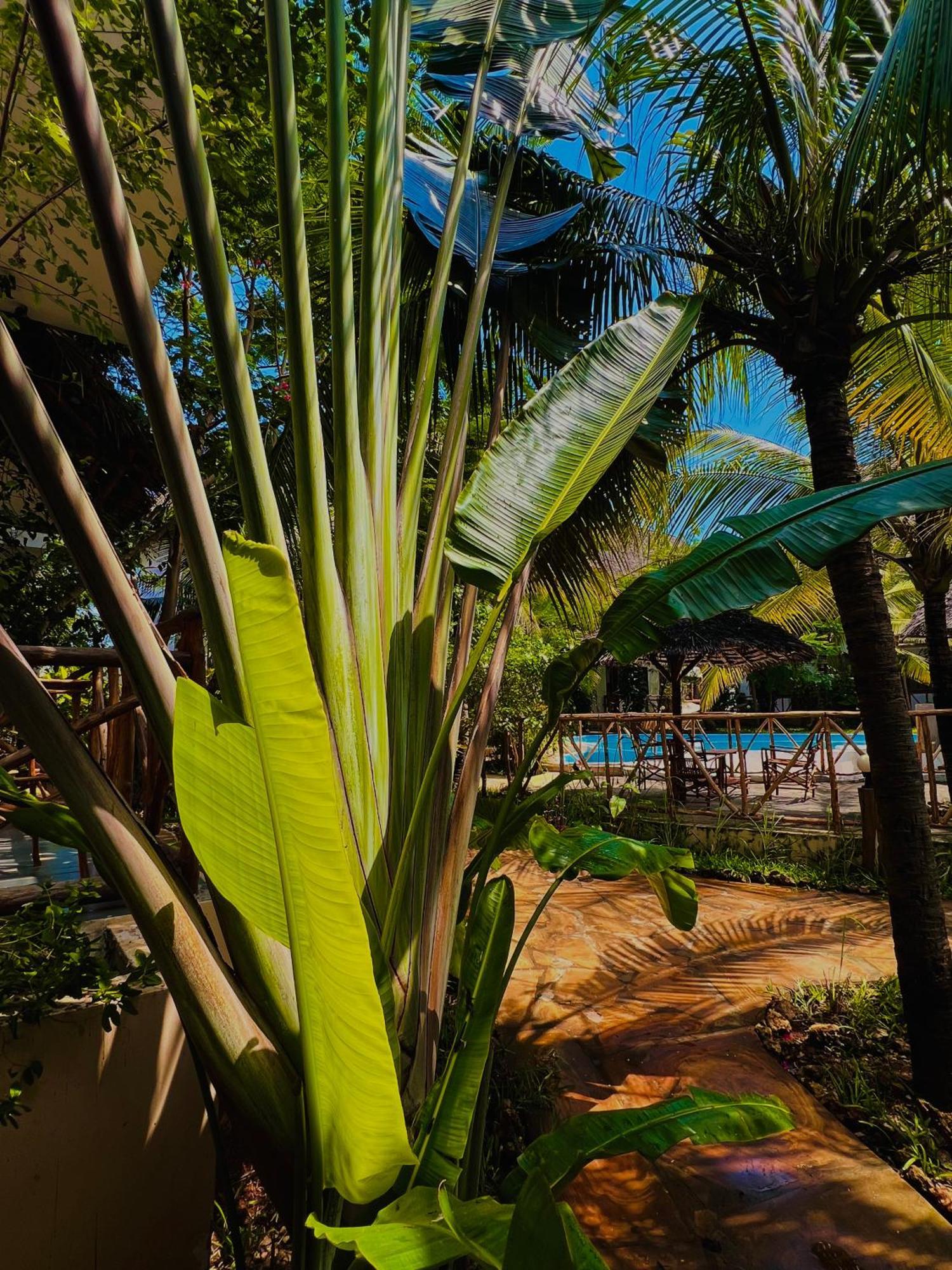 Tropical Nungwi 호텔 외부 사진